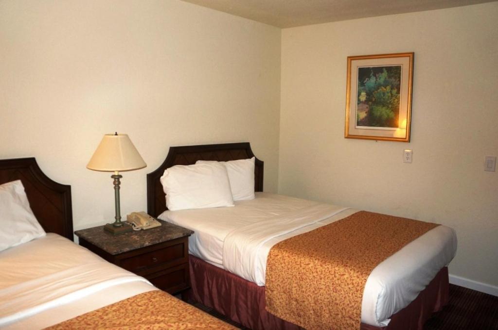 Waterford Inn מראה חיצוני תמונה